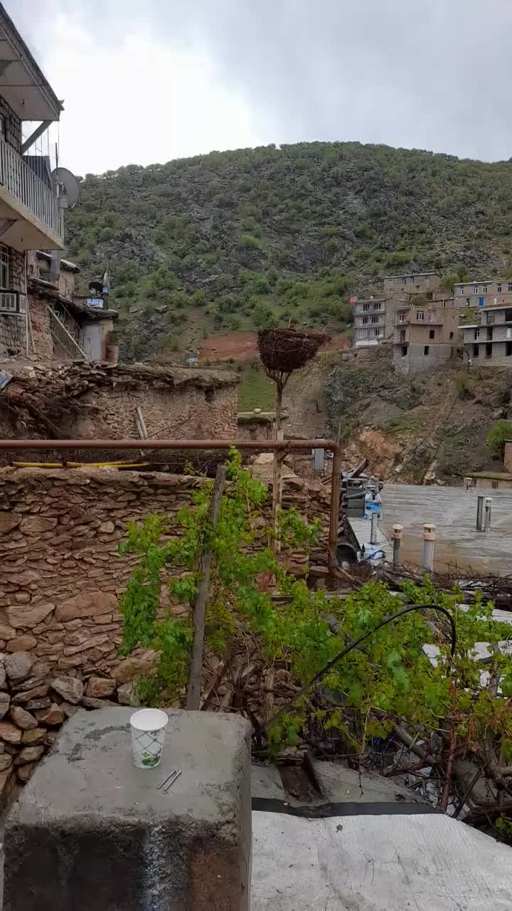 خانه اجاره ای پالنگان|اجارهٔ کوتاهمدت آپارتمان و سوئیت|کامیاران, |دیوار