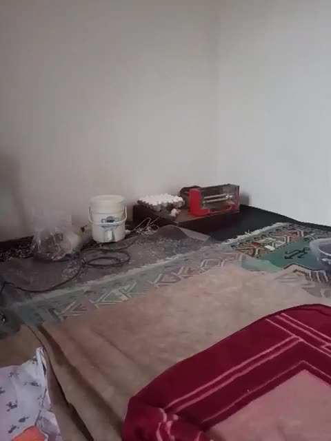 نگهبانی|استخدام سرایداری و نظافت|دورود, |دیوار