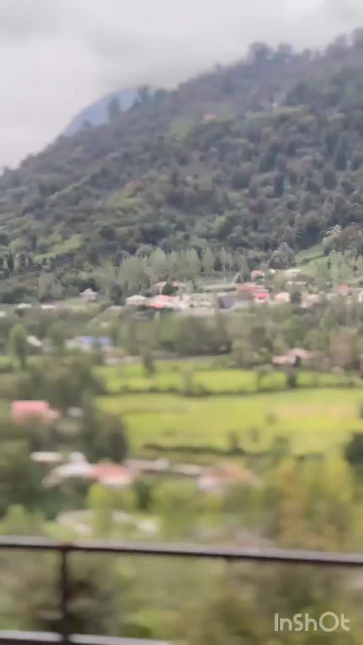 کلبه سوئیسی تو ارتفاع دل جنگل با تموم امکانات|اجارهٔ کوتاه‌مدت ویلا و باغ|ماسال, |دیوار