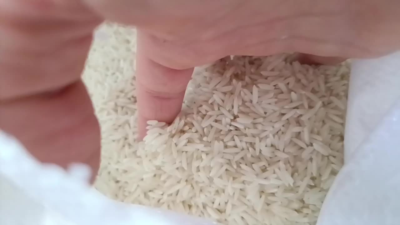 برنج هاشمی اصل گیلان طارم خوشپخت سویا کشمش شکر|خوردنی و آشامیدنی|ری, شهید غیوری (ابن باویه)|دیوار