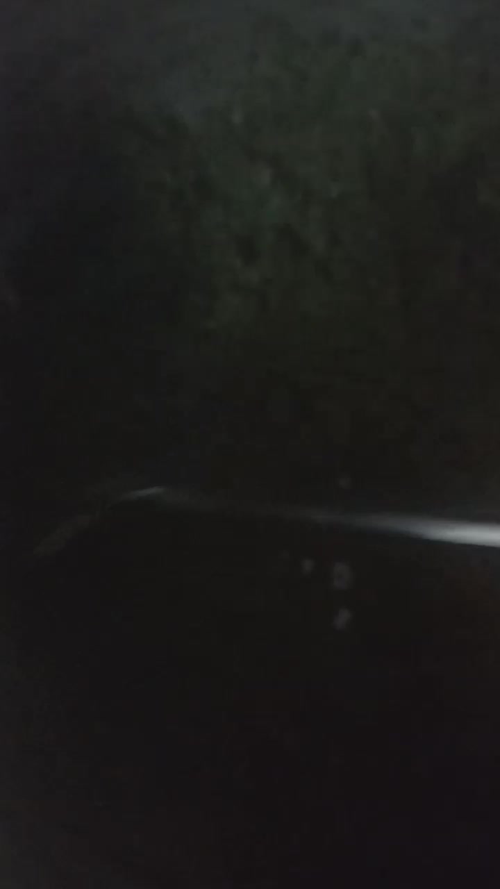 قرمه.نعنا.شوید.خورد شده.سرخ شده|خوردنی و آشامیدنی|قرچک, مهدیه|دیوار