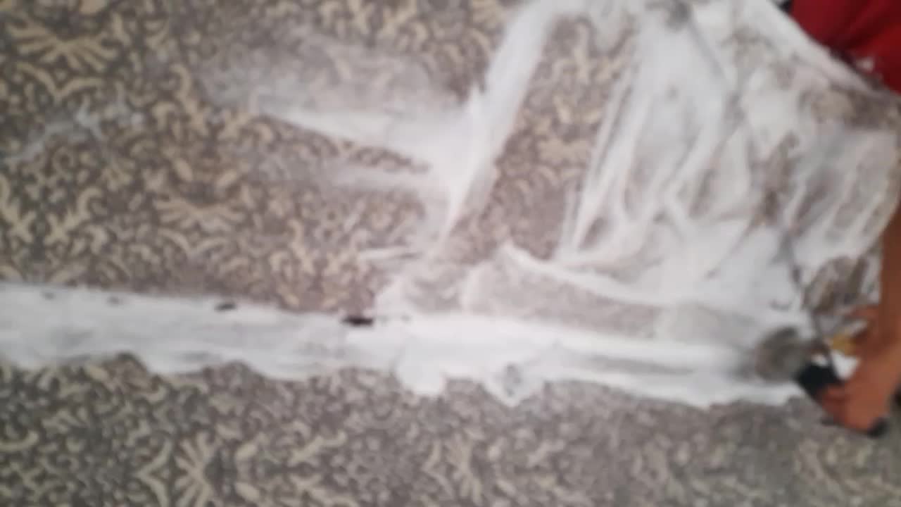 خدمات مبل شویی صداقت  هرروز از ساعت 9تا 22|خدمات نظافت|بندر ماهشهر, |دیوار