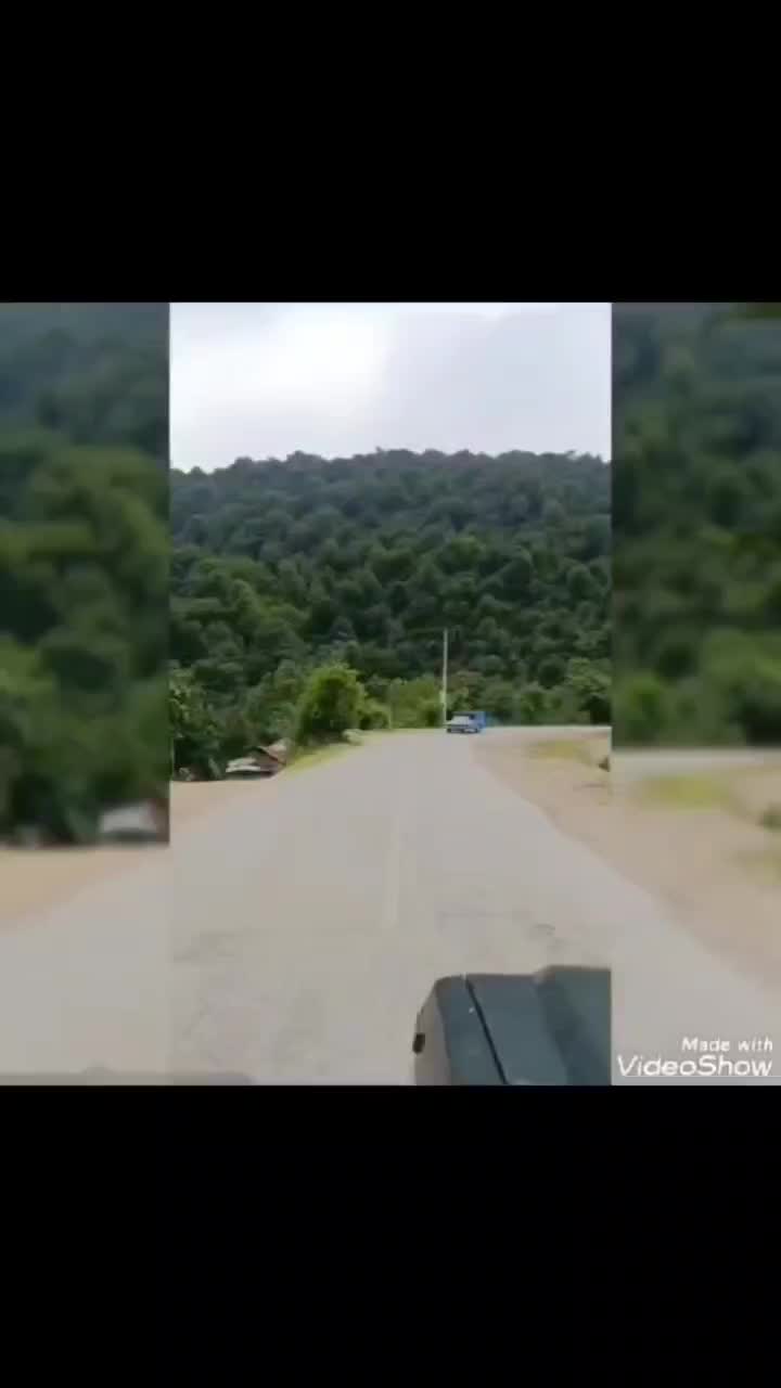 ۱۱۰۰متر بافت مسکونی *ییلاق ایربو* تالش|فروش زمین و ملک کلنگی|تالش, هشتپر|دیوار