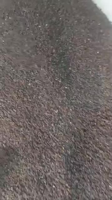 کشمش گله ( درگز ) صدرصد آفتابی ،مخصوص آبگیری|خوردنی و آشامیدنی|مشهد, تلگرد|دیوار