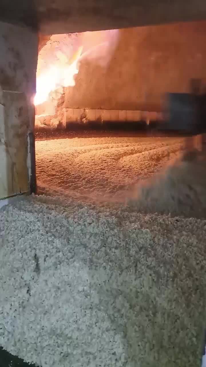 کنجد ارده گیری ،کنجد قنادی ،کنجد روغنگیری|عمده‌فروشی|اردکان, |دیوار