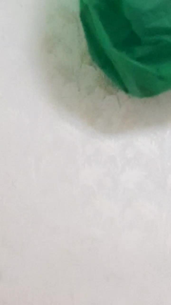 قناری مست مست  نر پرتقالی|پرنده|کارون, |دیوار