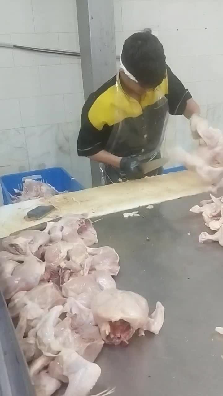تعدادی کارگرساده و پوست کن بیخص کارمرغ نیاز مندیم|استخدام صنعتی، فنی، مهندسی|رباط‌کریم, |دیوار