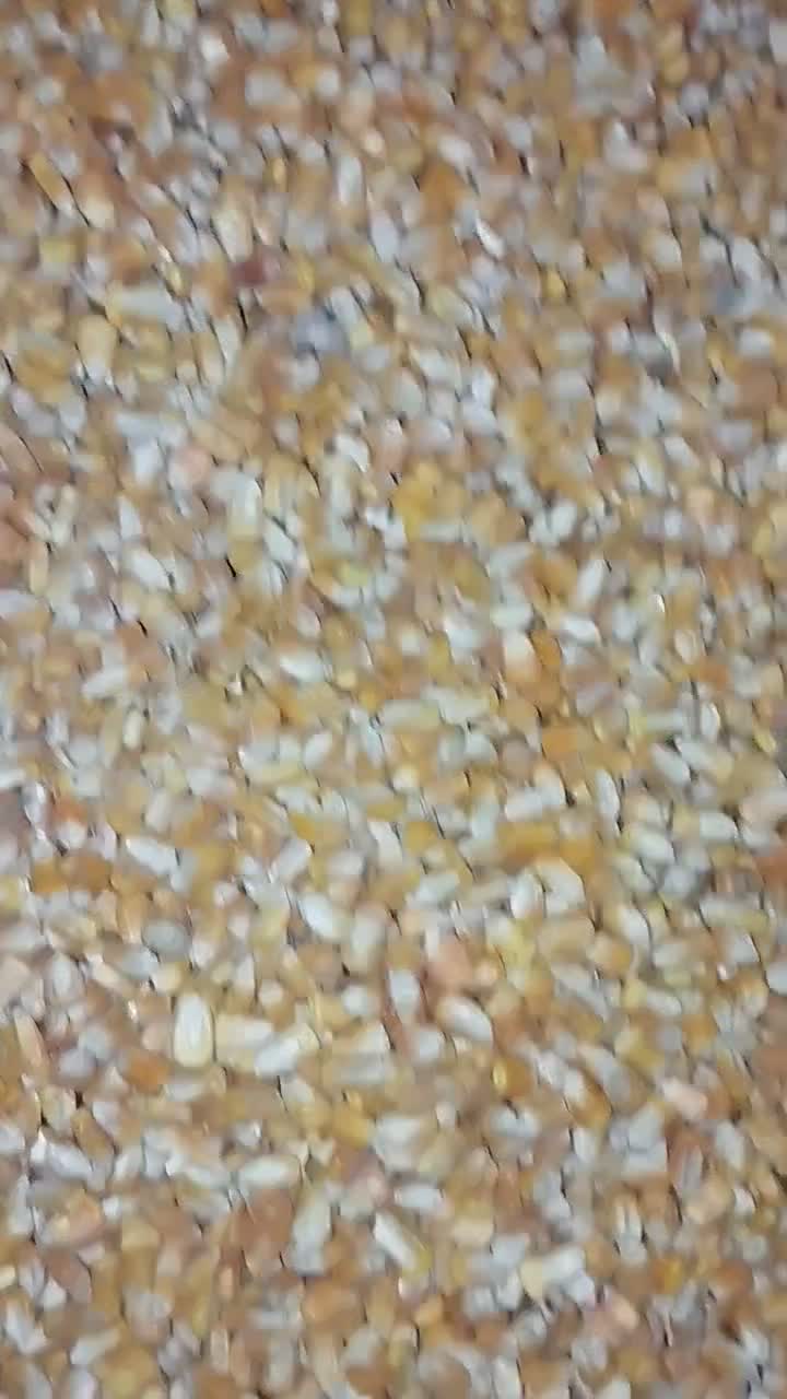 ذرت دامی برزیل درجه یک|لوازم جانبی حیوانات|فردوس (خراسان), |دیوار