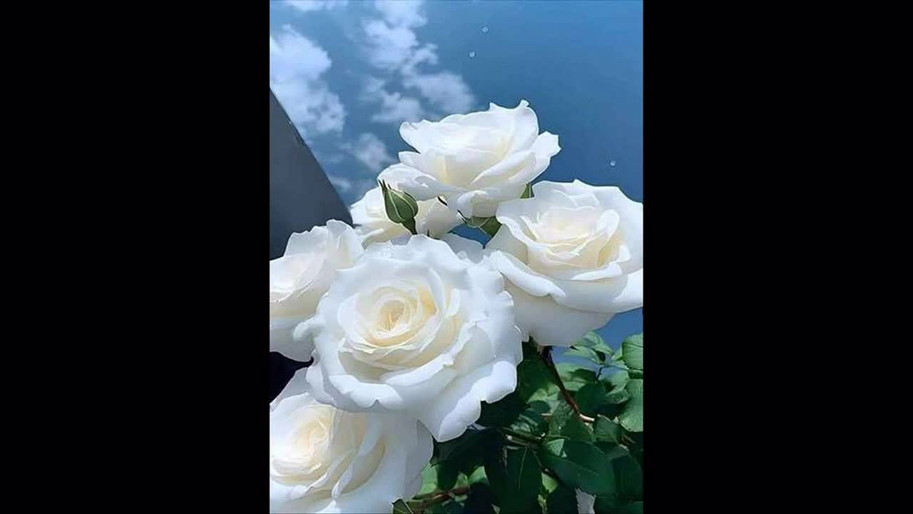 مداحِ ترحیم قیمت هر مجلس فقط یک و چهارصد|خدمات پذیرایی، مراسم|تبریز, |دیوار