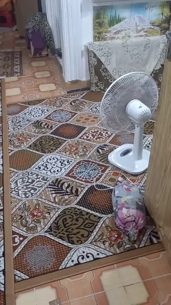 فروش ویلایی ۷۰ متری ۲خواب جانبازان کوچه مرداد ۱۷|فروش خانه و ویلا|رشت, جانبازان|دیوار