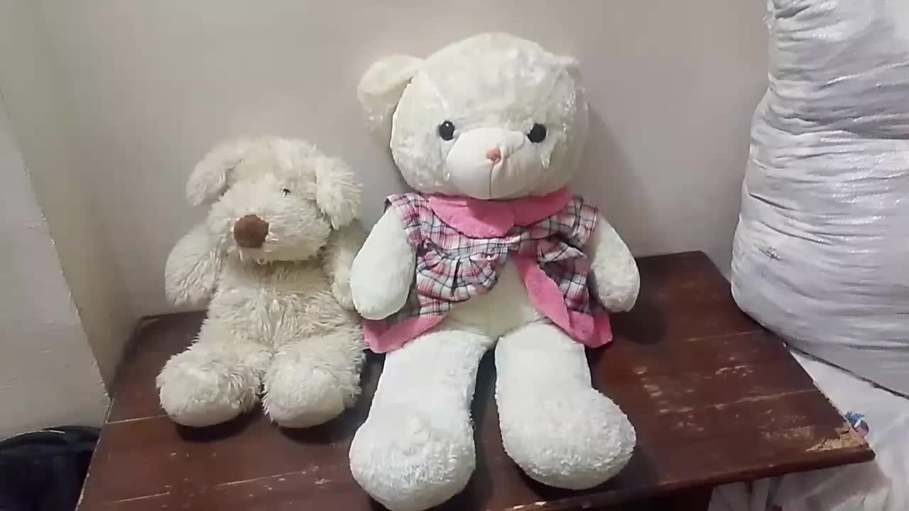 اسباب بازی|اسباببازی بچه|گرگان, |دیوار