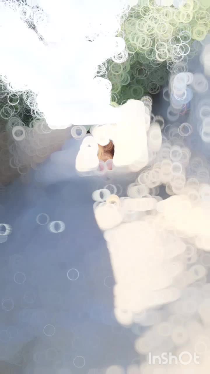 کوره مادیون|اسب و تجهیزات اسب‌سواری|بوشهر, |دیوار