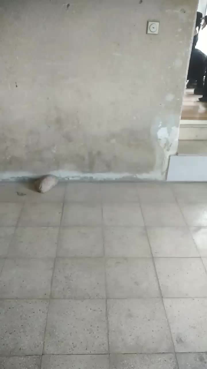 نشت یابی با دستگاه تصویری حرارتی ترموویژن آمریکایی|خدمات پیشه و مهارت|کرمانشاه, |دیوار