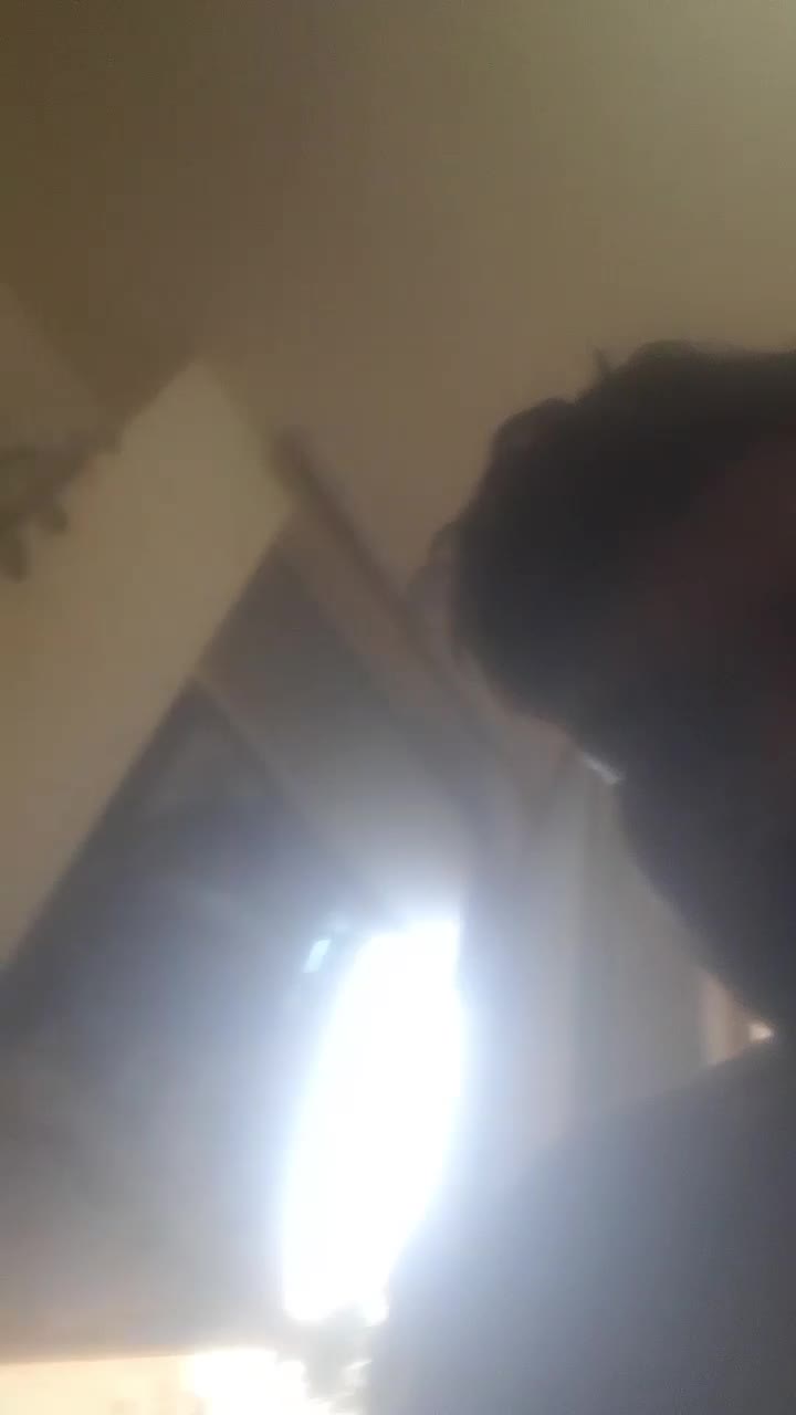 قناری سهره|پرنده|بوشهر, |دیوار