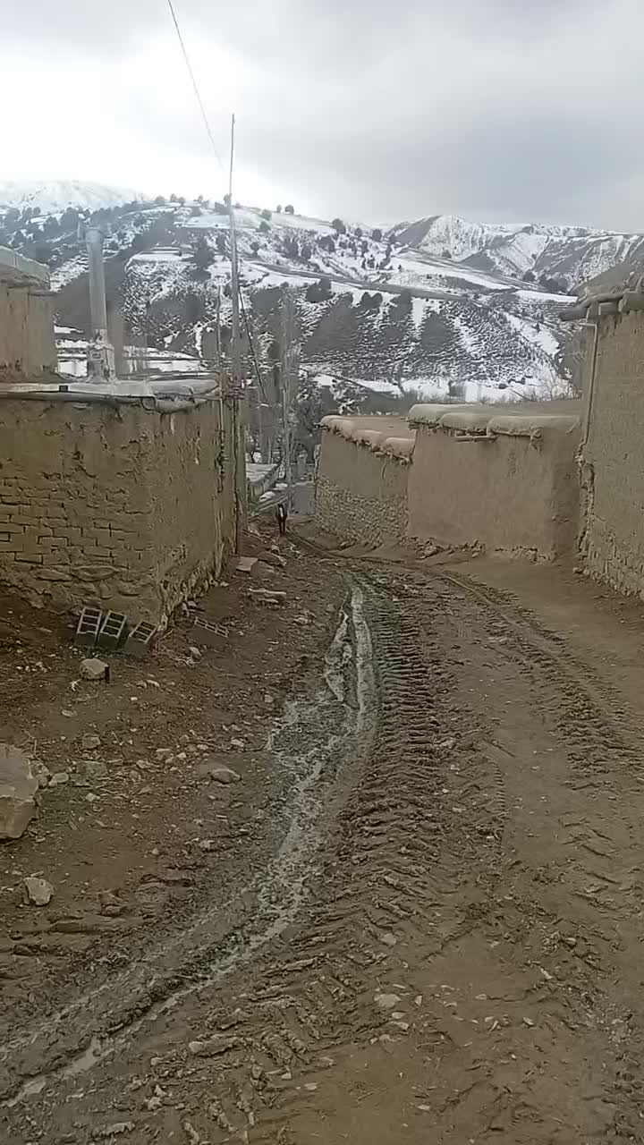 اسب نریان|اسب و تجهیزات اسب‌سواری|شیروان (خراسان), |دیوار