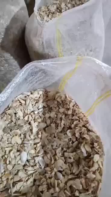 اسلایس سیر|عمدهفروشی|داراب, |دیوار