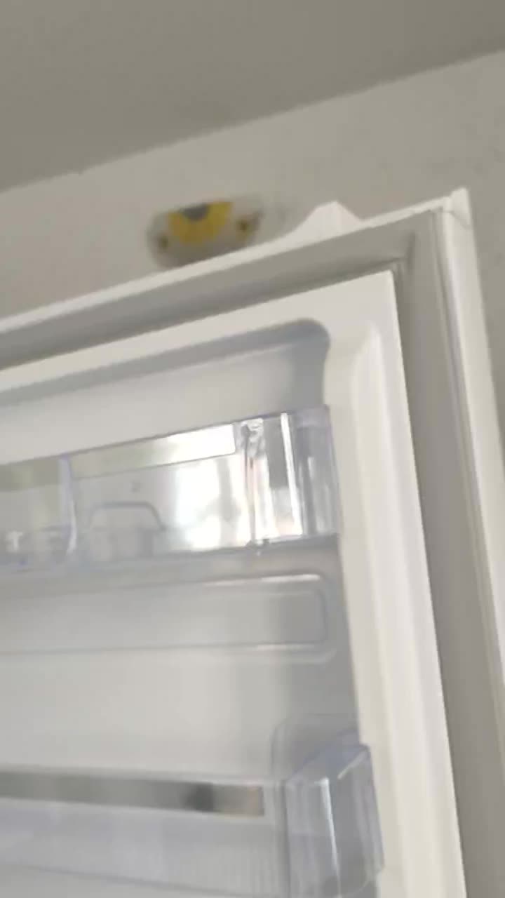 یخچال فریزر 30 فوت بلانتون کاملا نو استفاده نشده|یخچال و فریزر|صدرا-فارس, فاز ۱|دیوار