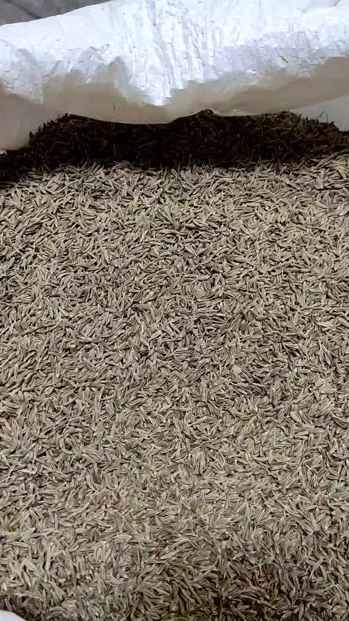 خرید و فروش زیره سبز کرابیه|خوردنی و آشامیدنی|مشهد, نوید|دیوار