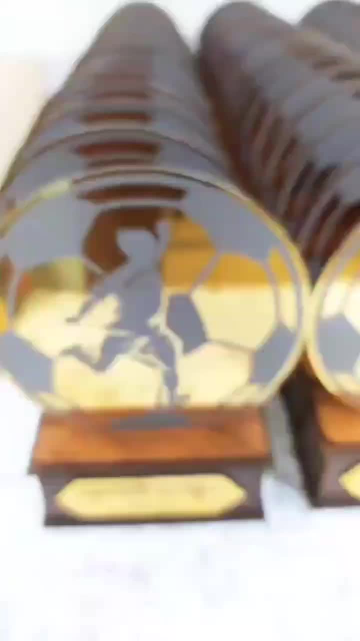 تندیس ورزشی فوتبال، والیبال، تنیس،کاراته، داوری|مجسمه، تندیس، ماکت|اصفهان, خانه اصفهان|دیوار