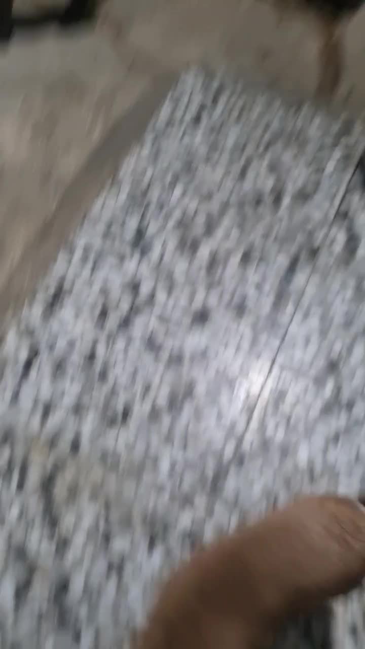 واگذاری توله مالینویز نگهبان|سگ|شیراز, نصرآباد|دیوار