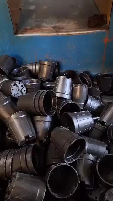 پخش انواع گلدانهای مشکی گلخانه ای|گل و گیاه طبیعی|پاسارگاد, |دیوار