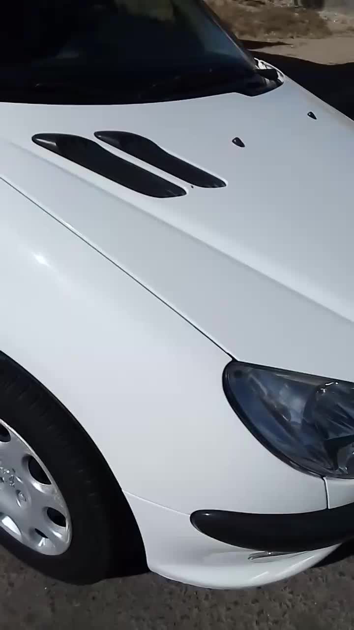 ۲۰۶تیپ ۲ استثنایی|خودرو سواری و وانت|تربتحیدریه, اندیشه|دیوار