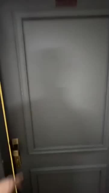 تور ریلی مشهد آذر ماه و دی ماه|تور و چارتر|ایلام, |دیوار