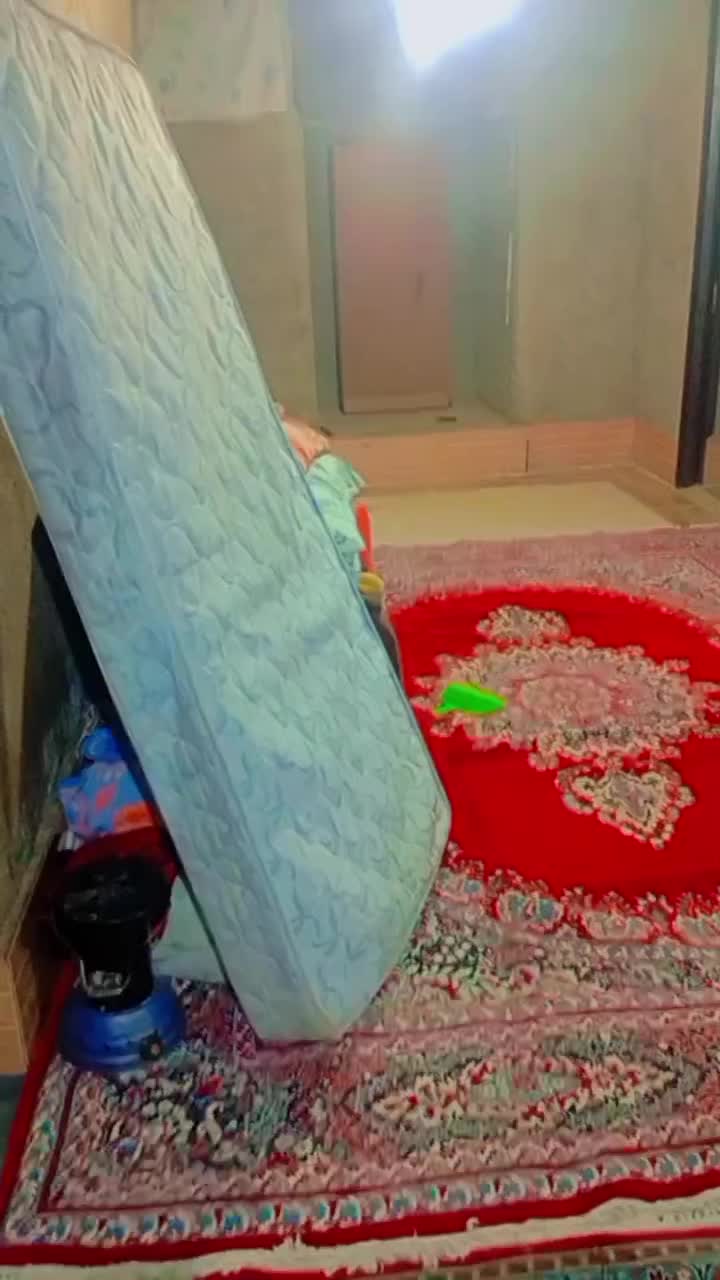 نیازمند همخونه دانشجو یا شاغل مرتب|اجارهٔ خانه و ویلا|داراب, |دیوار