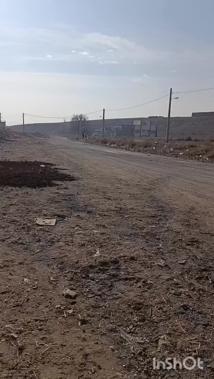 اسب|اسب و تجهیزات اسب‌سواری|شبستر, |دیوار