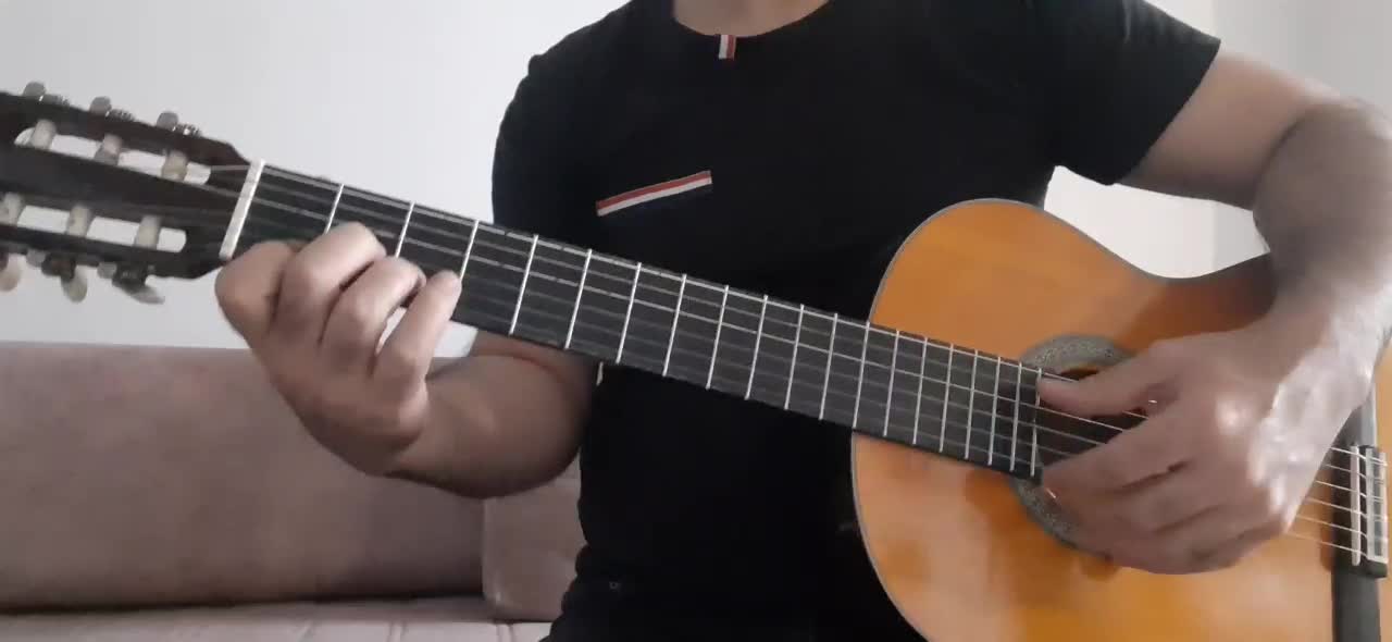 گیتار آریا Ak 20 ساخت اندونزی|گیتار، بیس، امپلیفایر|زنجان, |دیوار