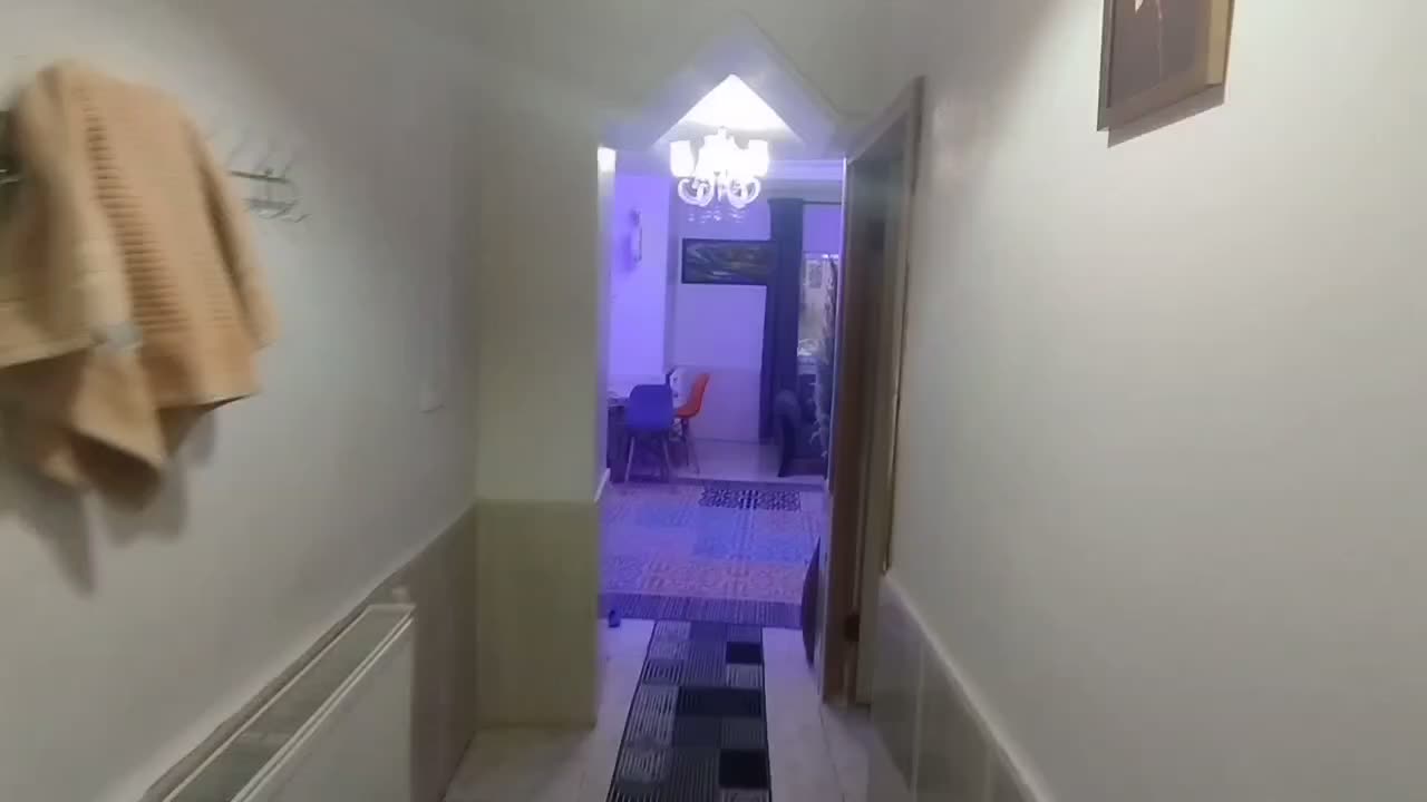 سوئیت روستای زیارت گرگان نو ساز وییو رو به جنگل|اجارهٔ کوتاه‌مدت آپارتمان و سوئیت|گرگان, |دیوار