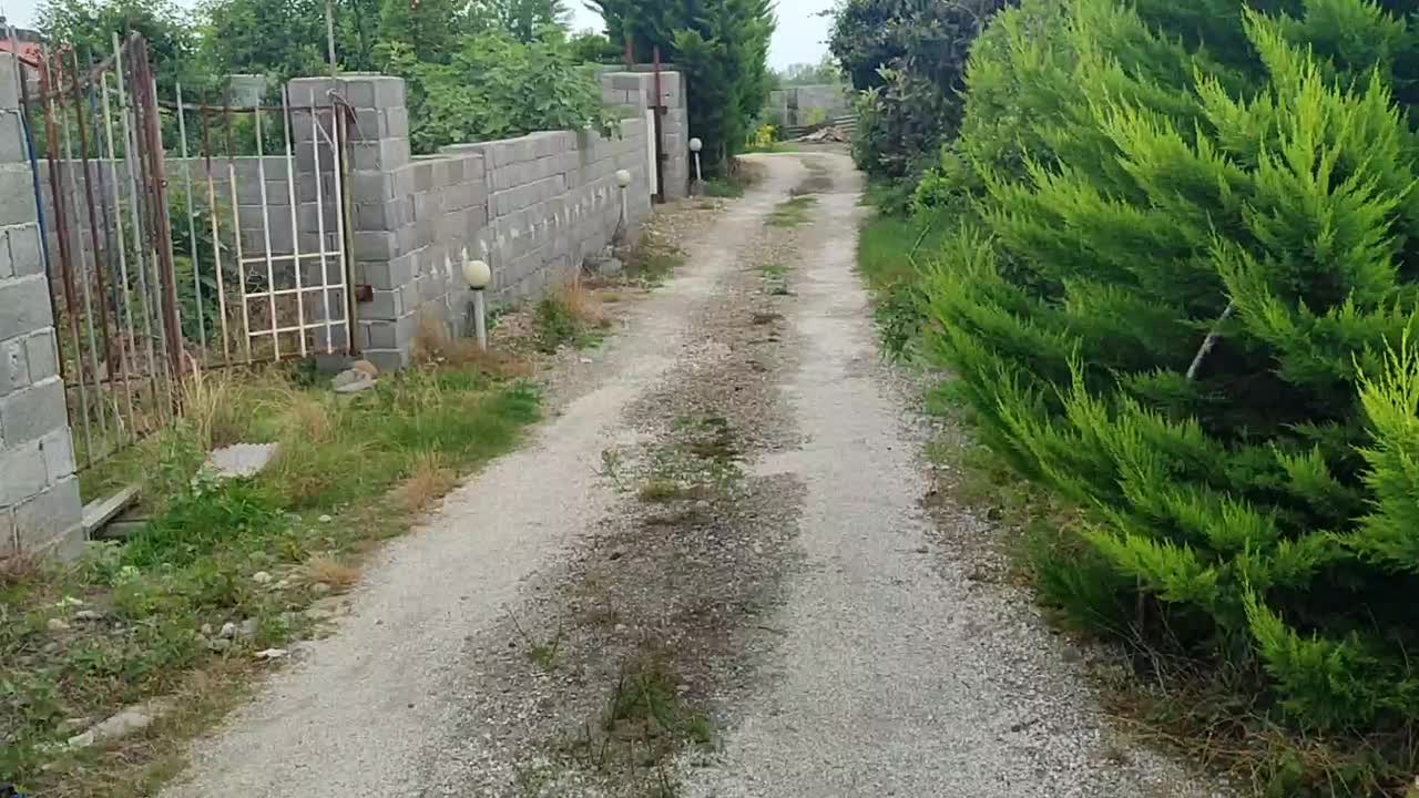 فروش زمین ۲۸۷ متری|فروش زمین و ملک کلنگی|عباس‌آباد, |دیوار