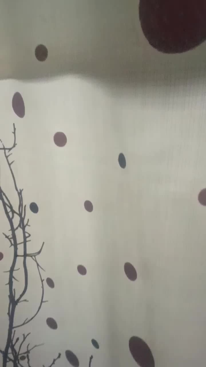 سهره فیروزکوه|پرنده|دماوند, دماوند|دیوار