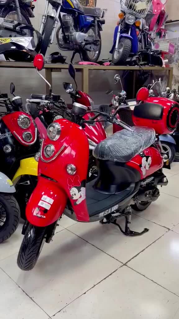 موتور پاکشتی صفر خشک سند دار 50cc ms1 اصلی|موتورسیکلت|تهران, مولوی|دیوار