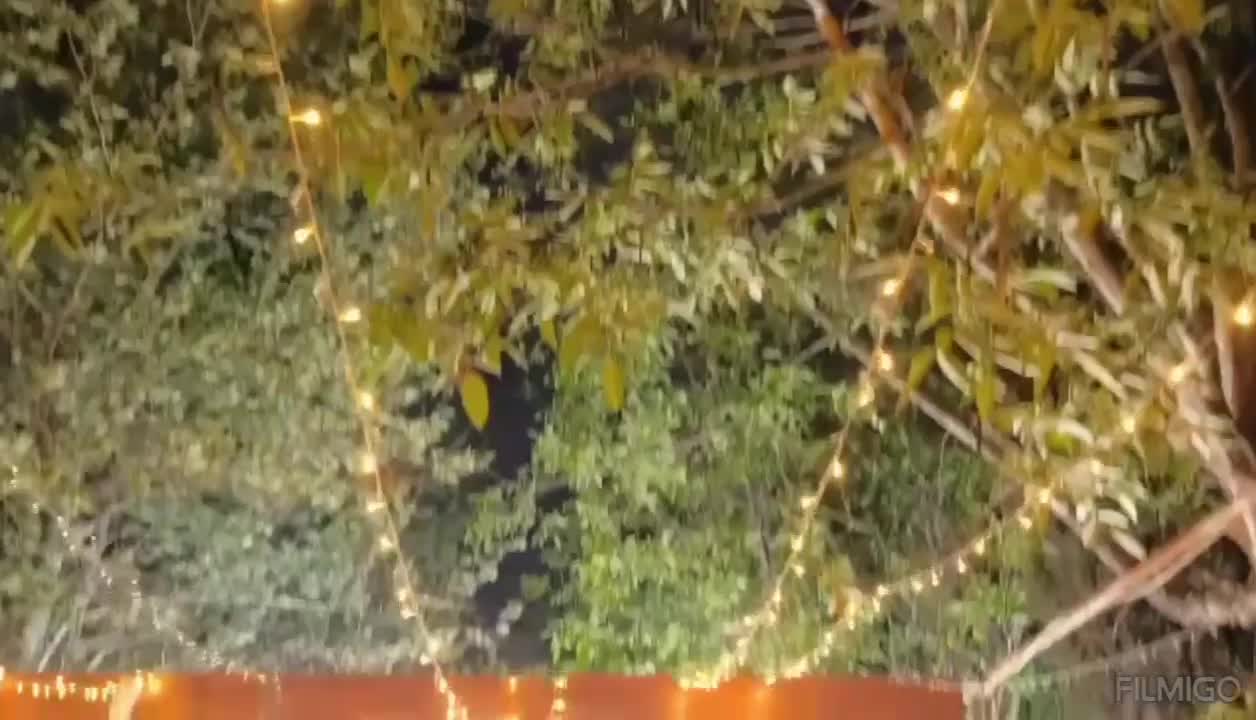 باغ و تالار مجلل باغ پرنس(بدون هزینه اضافی)|خدمات پذیرایی، مراسم|تهران, ستارخان|دیوار