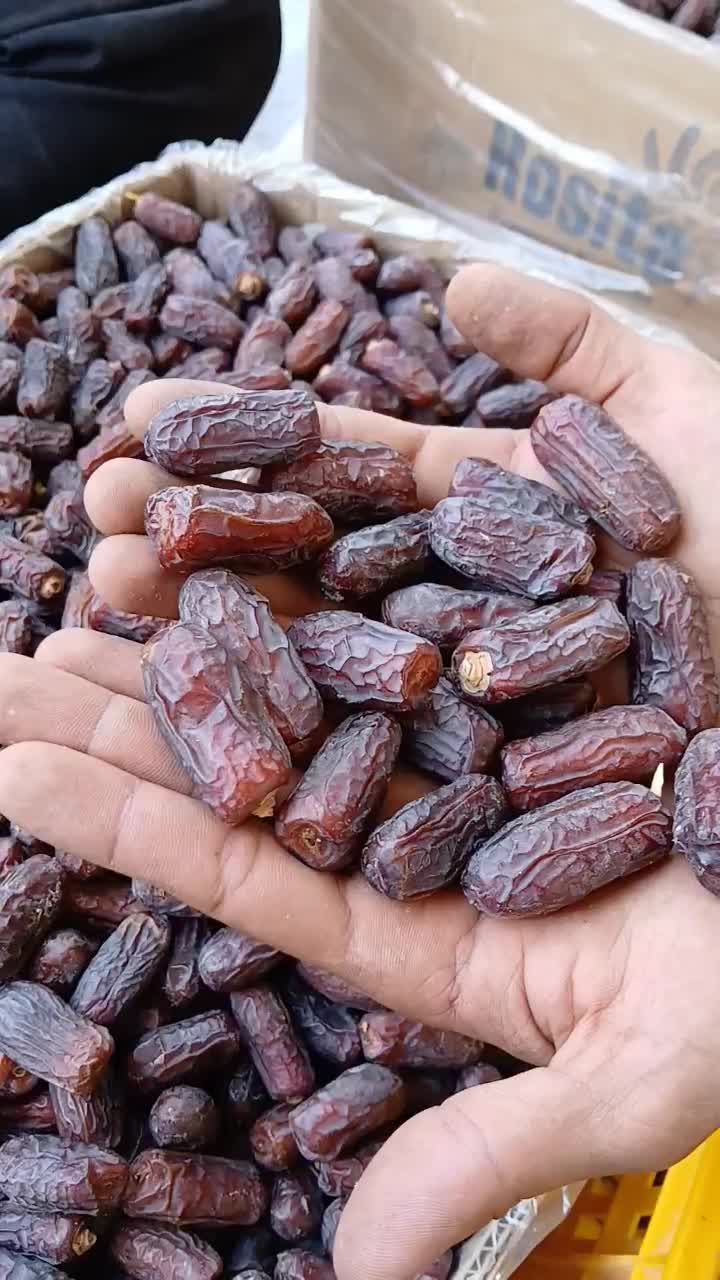 خرمای پیارم و مجول|عمده‌فروشی|حاجی آباد, |دیوار