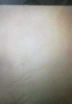 مبلشویی مبل شویی آقای محمدی|خدمات نظافت|کرمان, |دیوار