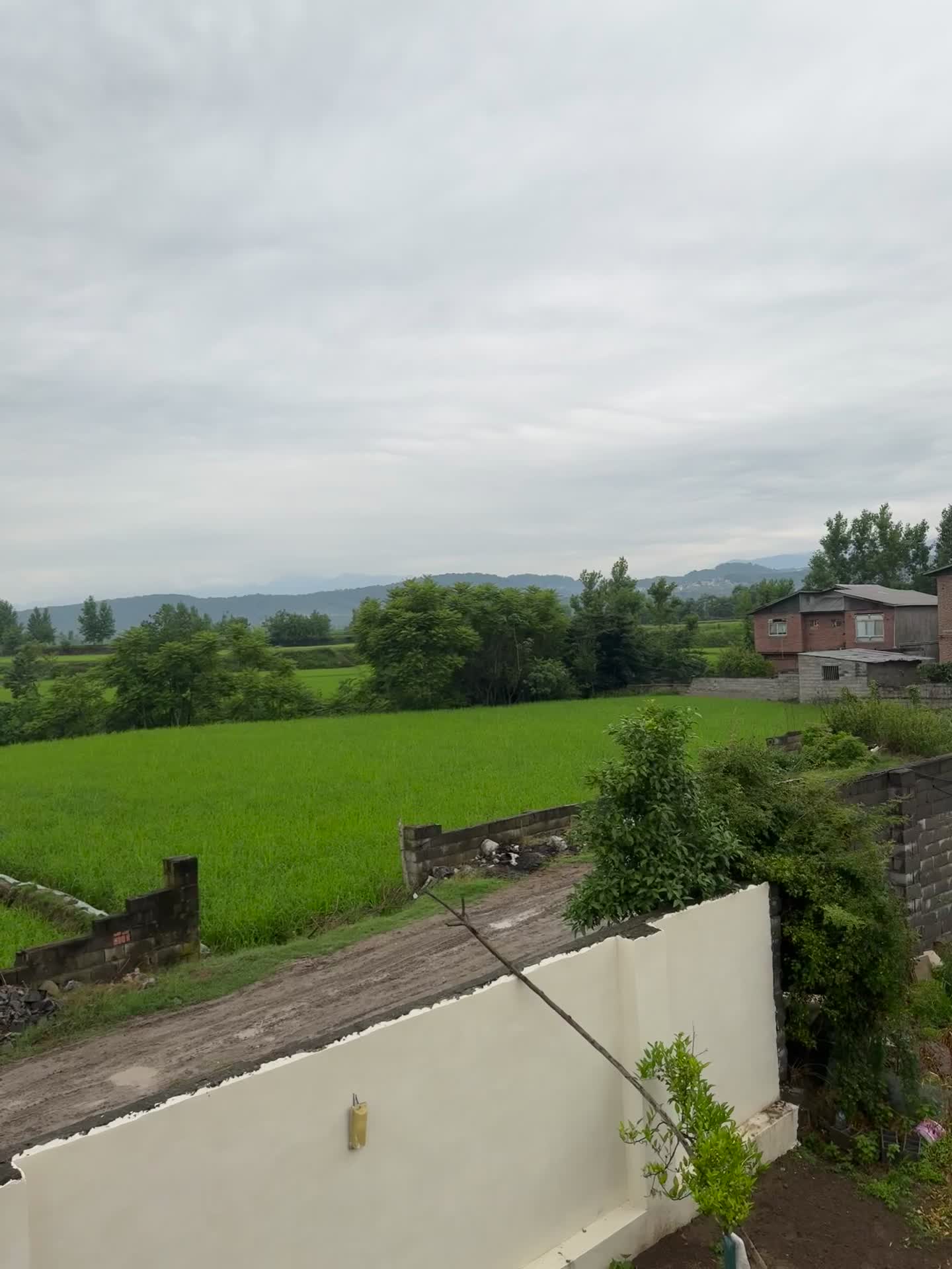 کلبه سویسی آمل|اجارهٔ کوتاهمدت ویلا و باغ|آمل, |دیوار