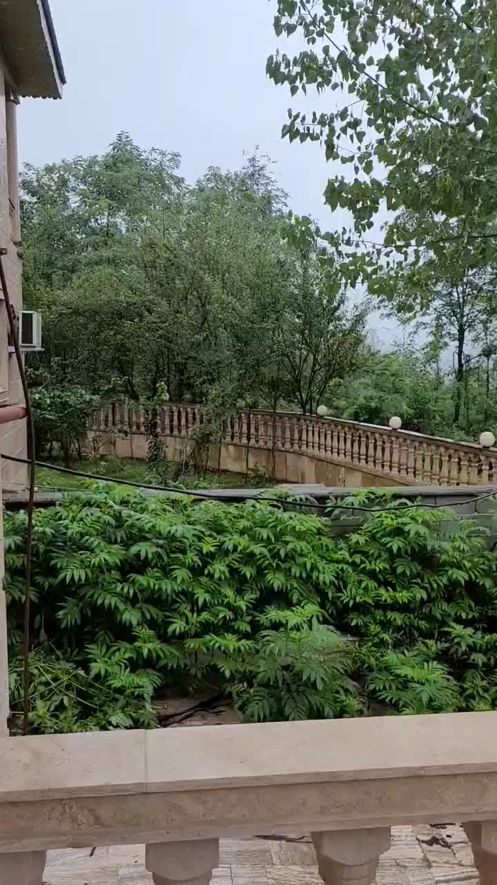 ویلا در دل جنگل|اجارهٔ کوتاهمدت ویلا و باغ|شفت, |دیوار