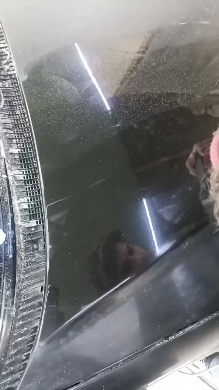 نقاشی خودرو احیای رنگ پولیش واکس سرامیک بدنه|خدمات موتور و ماشین|بیرجند, |دیوار