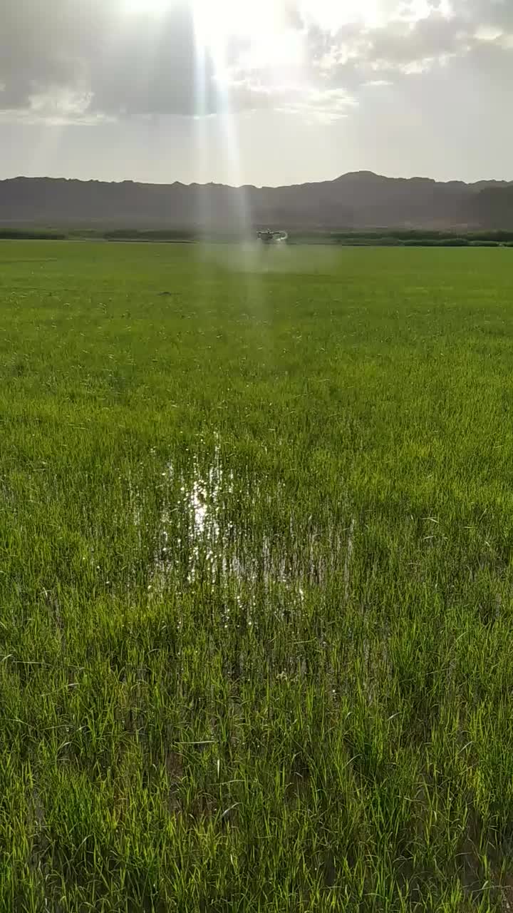 فروش پهپاد 10لیتری سیرنگ|ماشین‌آلات صنعتی|امامزاده عبدالله, |دیوار