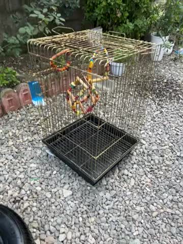 قفس کاسکو با لوازم|لوازم جانبی حیوانات|فومن, |دیوار