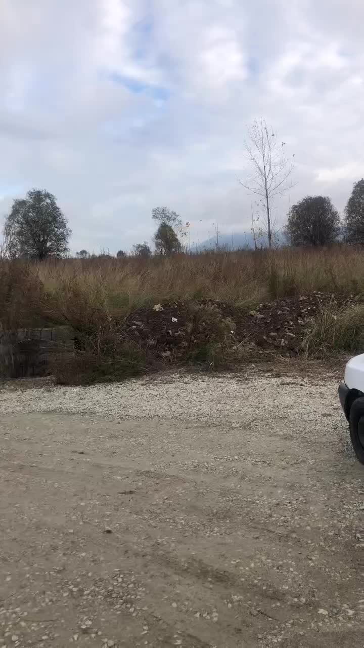 پراید مدل ۸۶ هیدرولیک|خودرو سواری و وانت|نوشهر, |دیوار