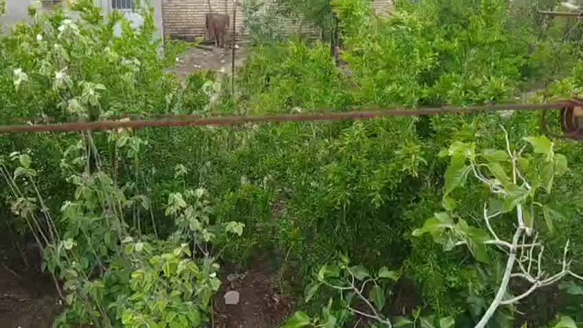 خانه ویلای|فروش خانه و ویلا|فولادشهر, نوگوران|دیوار