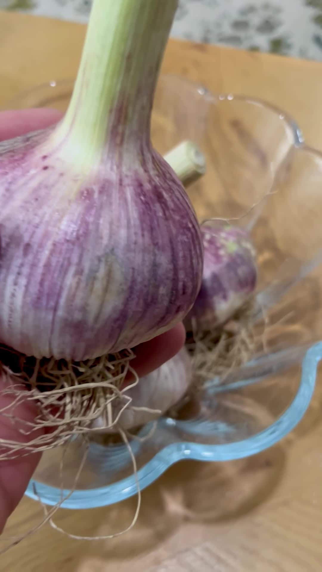 سیرمحلی|خوردنی و آشامیدنی|نکا, |دیوار