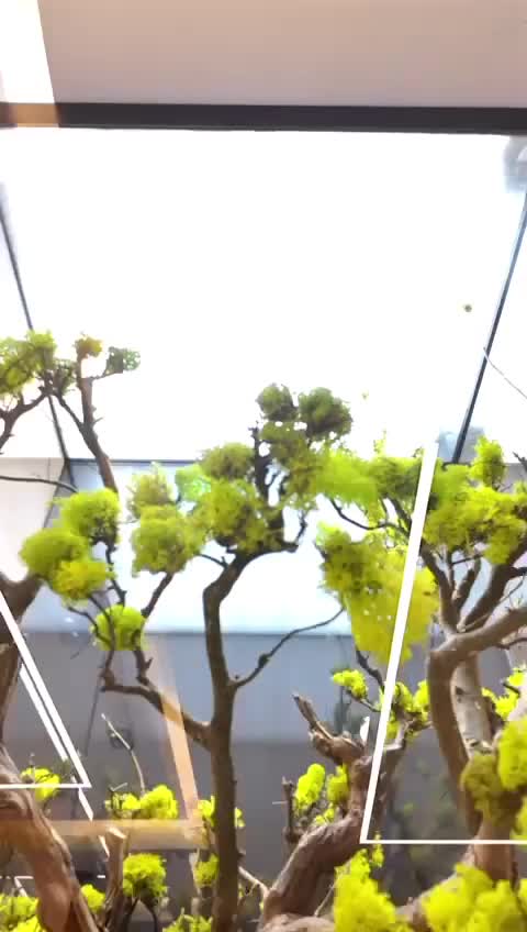 اپارتمان 115متری دوخواب صدرافازیک|فروش آپارتمان|صدرا-فارس, |دیوار