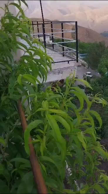 باغ ۸۰۰ متری محدوده نوجان|فروش خانه و ویلا|آسارا, |دیوار