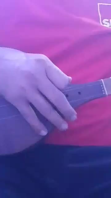 سه تار با مهر ساخت جناب کرمی|سازهای سنتی|کرج, اصفهانی‌ها|دیوار