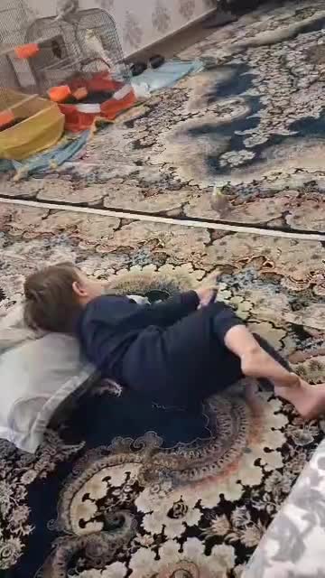 عروس هلندی مولد و بچهاشون(نیمه دستی)|پرنده|ری, شهید غیوری (ابن باویه)|دیوار