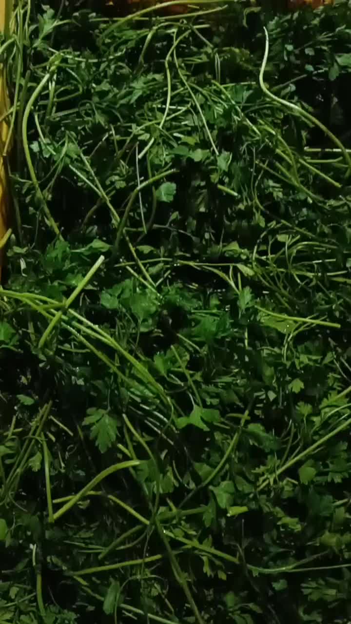 پخش عمده سبزی و وسایل فریزری با قیمت های مناسب|خوردنی و آشامیدنی|اسلام‌شهر, ایرین|دیوار